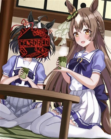 赛马娘，北部玄驹是不存在之人