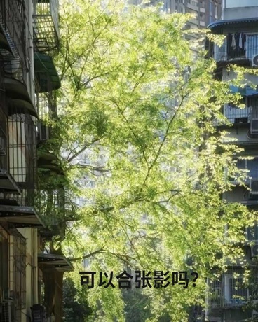 我最熟悉你的背影