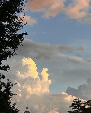 便利店女孩大学篇