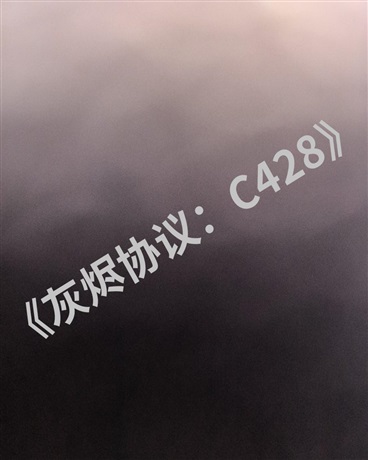灰烬协议：C428