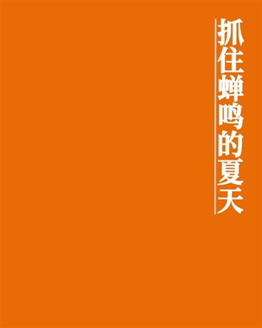抓住蝉鸣的夏天