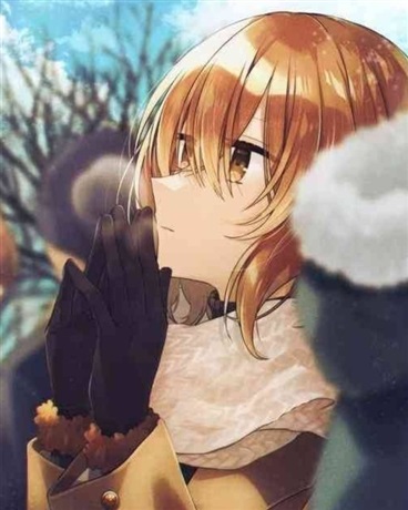 小市场中的橘味少女们