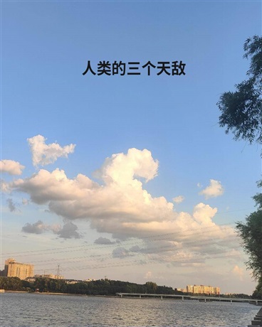 凉面派触手怪，暴君大女主和好人