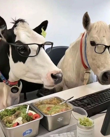 宇宙社畜生存指南