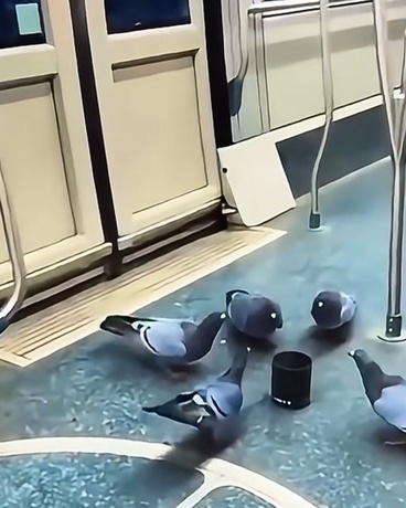 雾都启事