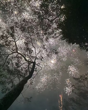这末世剧情不太对