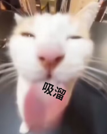 被暗算成可爱后，我直接忘本！