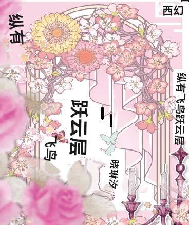 纵有飞鸟跃云层