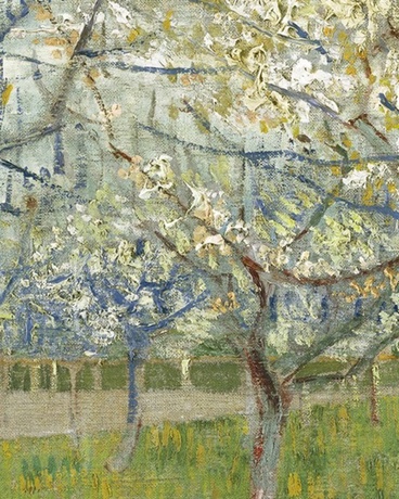 我们的愿望终将其实现