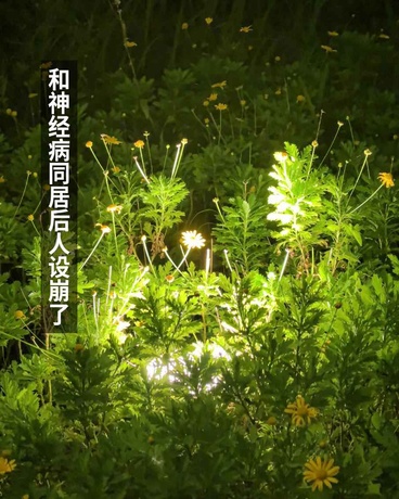 和神经病同居后人设崩了