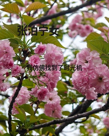 我仿佛找到了时光机