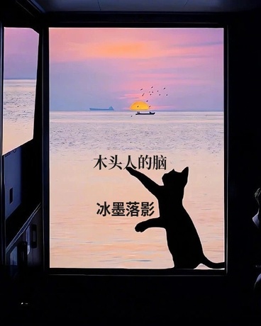 木头人的猫