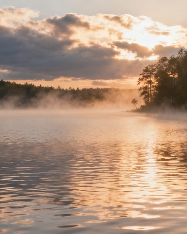 轮回转世，只为了你