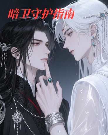 暗卫守护指南