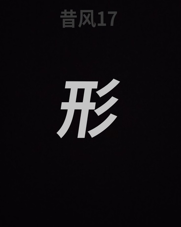 双生星冕：光与黯的镇魂歌