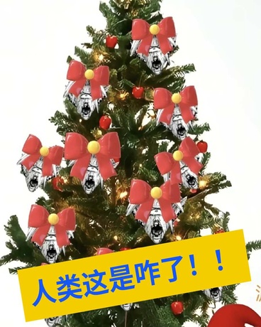人类这是咋了！！