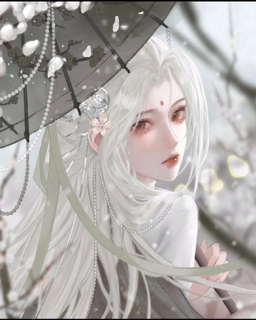 满山遍野都是玫瑰花