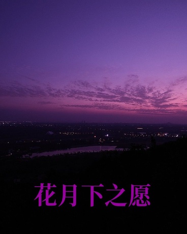 花月下之愿重置