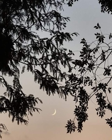 赫尔墨斯炼金与秘术会末日线