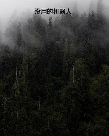 没用的机器人