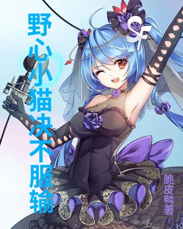 野心小猫决不服输