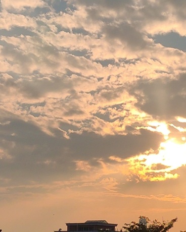 菲菲的幻想世界之蔡牧传