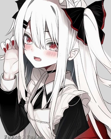 吸血姬的不正常学院生活