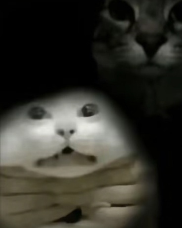 与祝魔抢人的日常