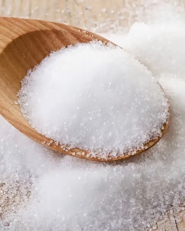 被捡尸初拥成血族女王的女儿？