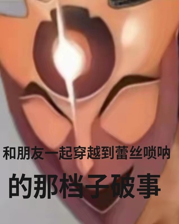 和朋友穿越到雷索纳斯的那些事