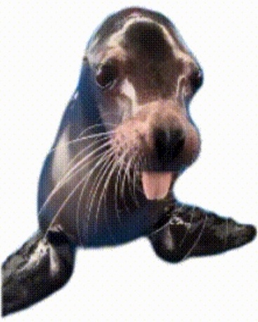 身为魔修的我居然被