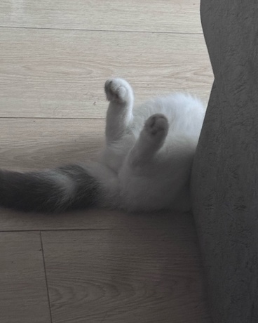 与你直到世界尽头