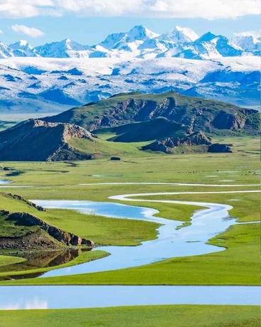 血族来了个年轻人