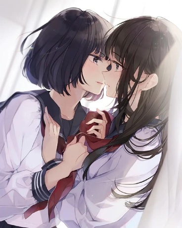 羽落心弦，网驻流年