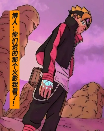 博人：你们说的那个火影我看了啦