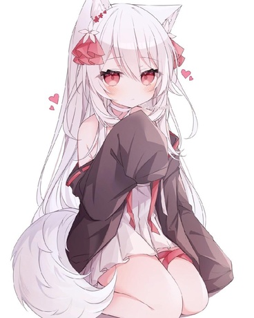 转生狐娘，今日仍在保护冤种饲主