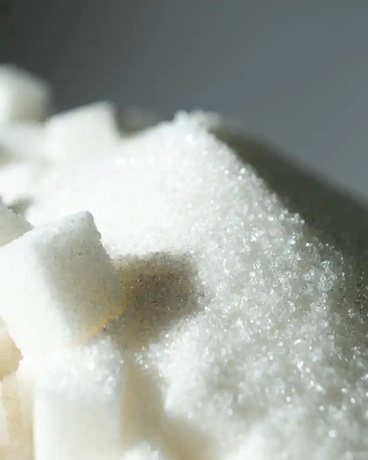 战败贤者今天也在被中二死神欺负