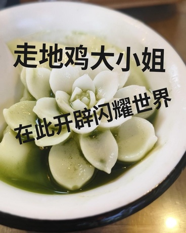 走地鸡大小姐在此开辟闪耀世界！