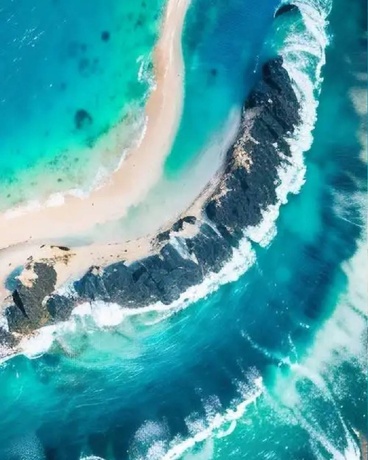 节肢oiline剧场版海之人鱼