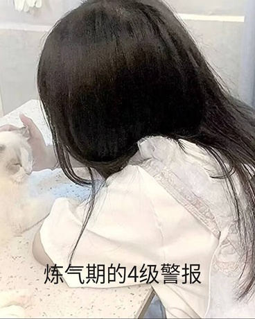 炼气期的4级警报
