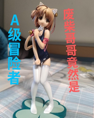 废柴哥哥竟然是A级冒险者!