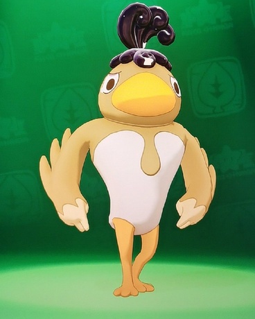 洛克王国之我的宠物是卷毛鸭