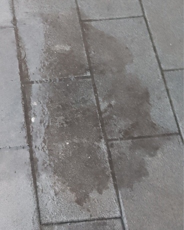 渔村麒麟高二诅咒之谜