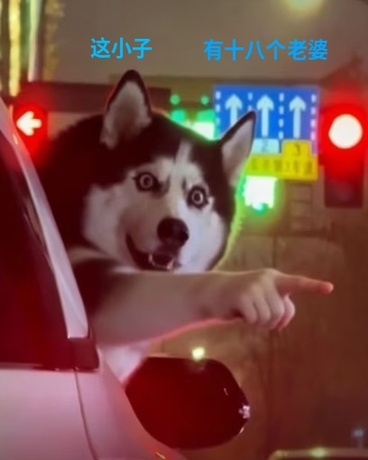 莫小龙的结发物语