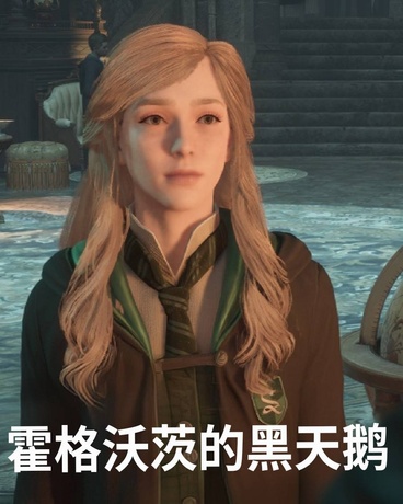 霍格沃茨的黑天鹅