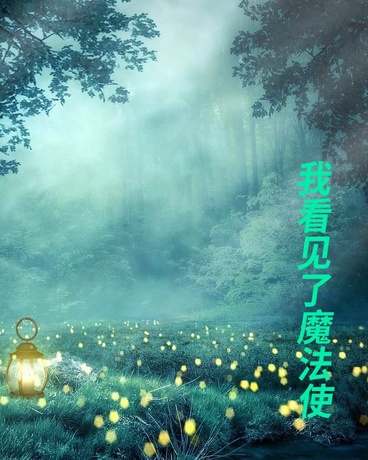 我看见了魔法使！