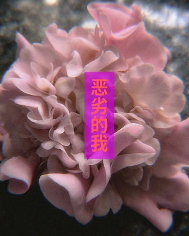 恶劣的我