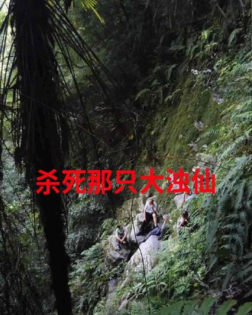杀死那只大浊仙