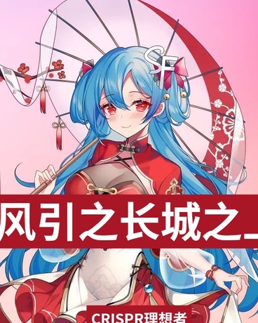 北风引之长城之上