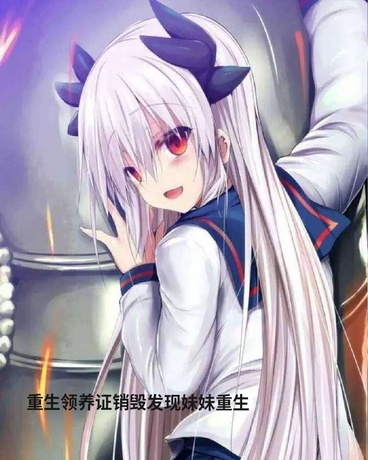 重生领养证销毁发现妹妹也重生